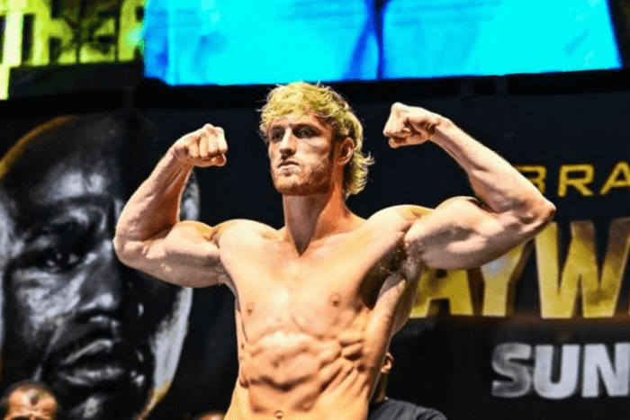 logan paul net worth1