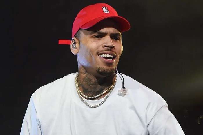 Chris Brown Net Worth 1