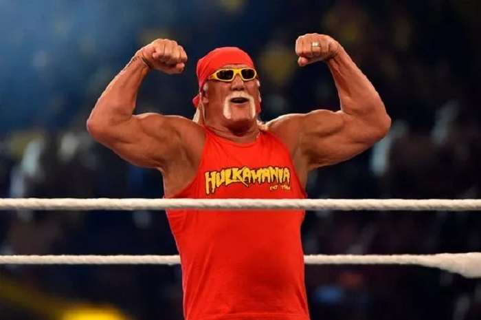 Hulk Hogan Net Worth 2