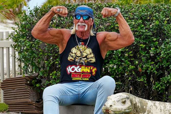 Hulk Hogan Net Worth 3