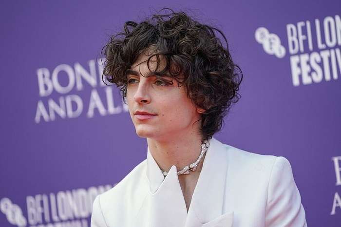 Timothee Chalamet Net Worth 1