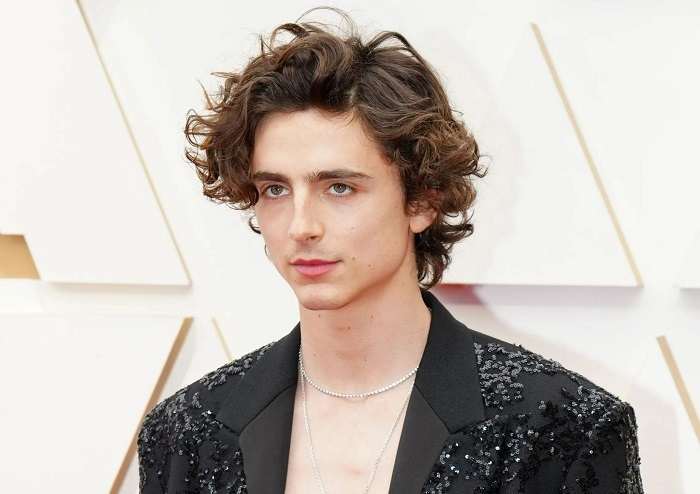 Timothee Chalamet Net Worth 3