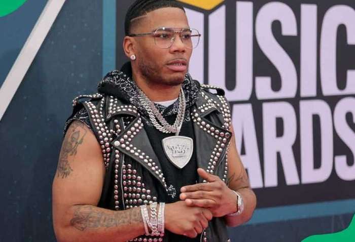 nelly net worth