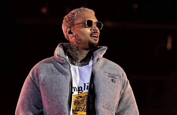 Chris Brown Net Worth 1