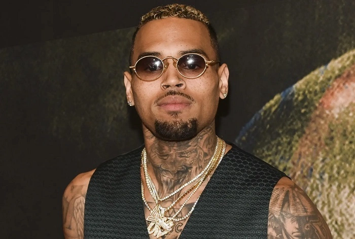 Chris Brown Net Worth 2023 3