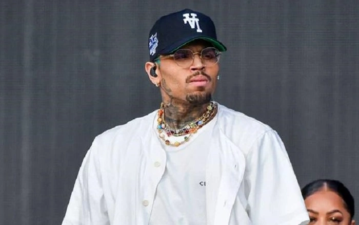 Chris Brown Net Worth 3